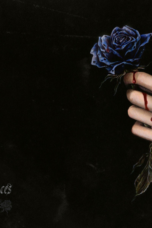 Капли крови на розе и руке