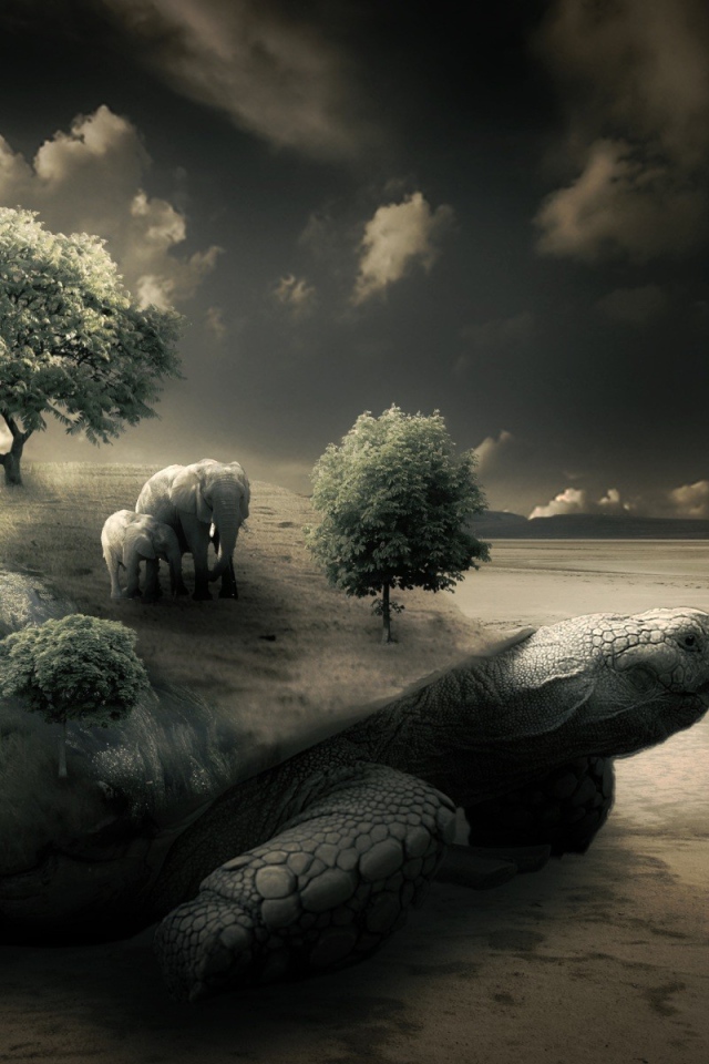 Слоны на черепахе на берегу моря