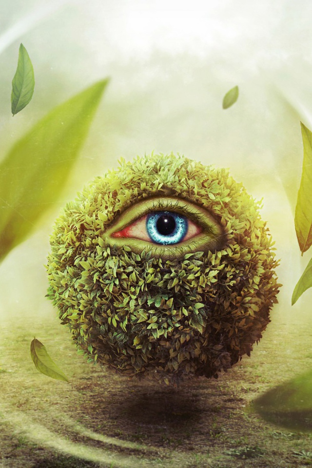 Глаз в шаре из листьев