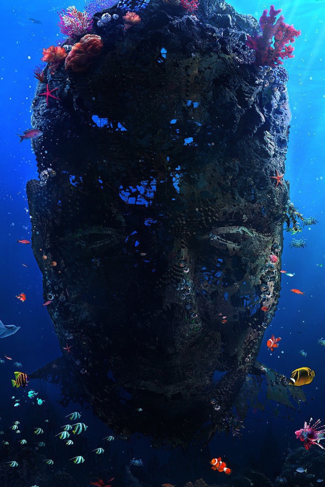 Лицо из кораллов под водой