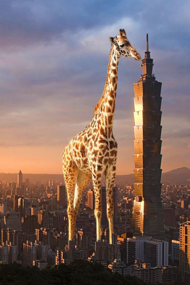 Жираф выше небоскреба