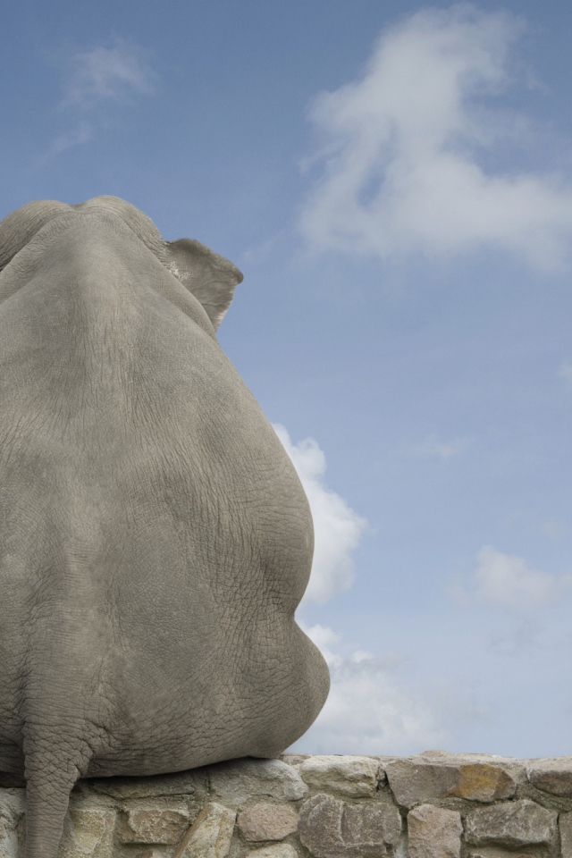 Девочка обнимает слона