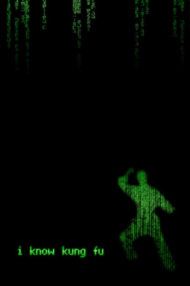 Кунг-фу в Матрице