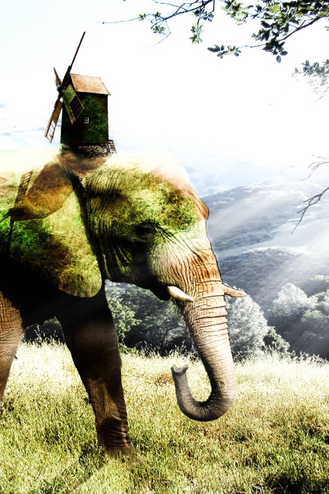 Покрытый мхом слон