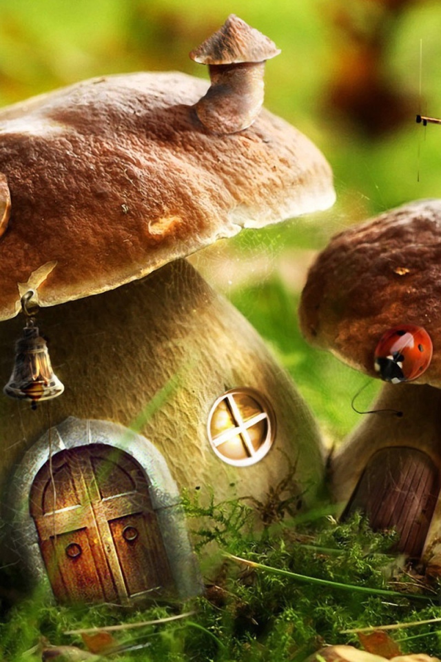 Грибы стали домиками