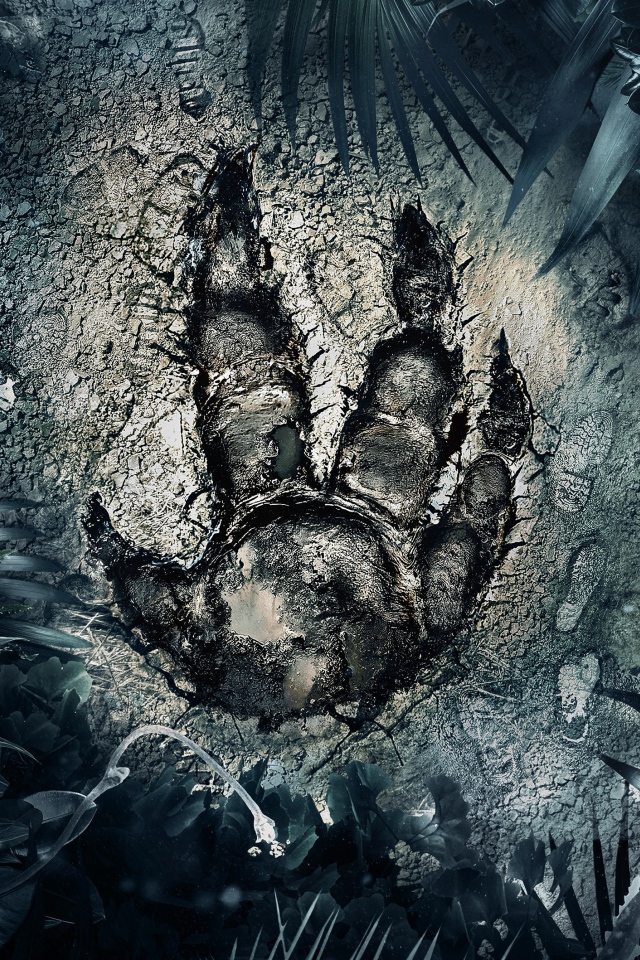 След загадочного зверя