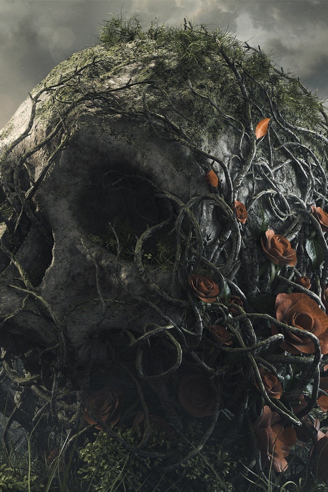 Поросший лианами большой череп