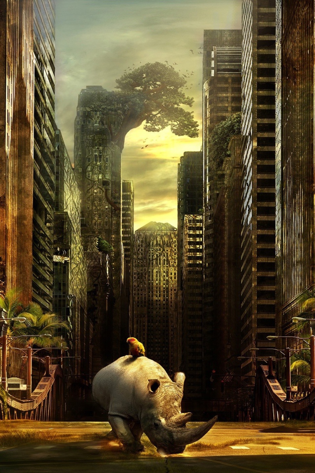 Носорог гуляет в брошенном городе