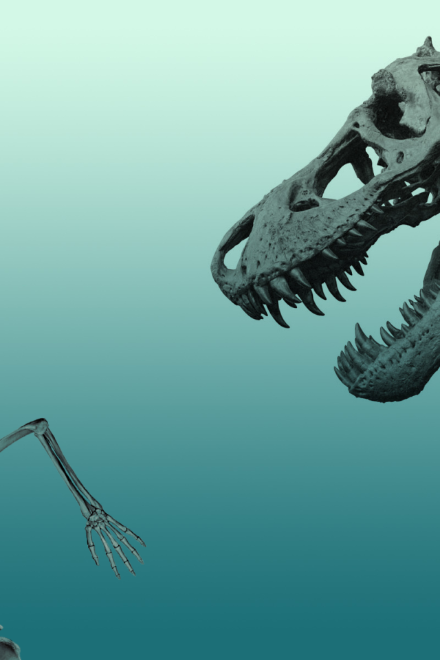 Скелет динозавра гонится за скелетом человека