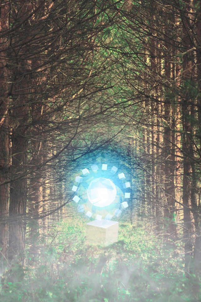 Временной портал посреди леса