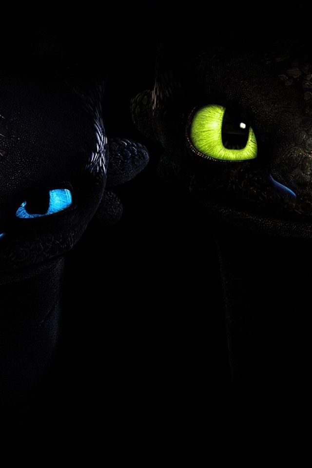 Два малыша черного дракона