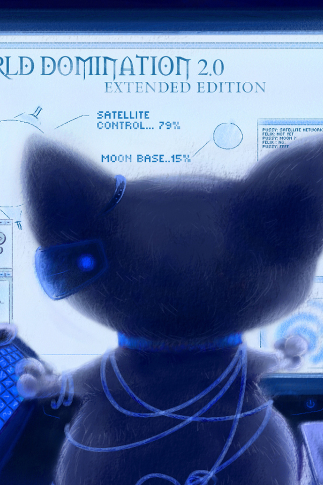 Кот около монитора