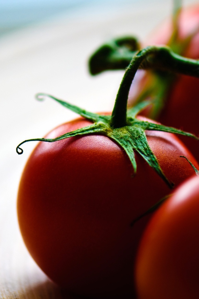 Четыре помидора на ветке