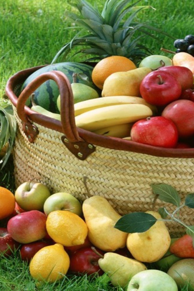 Корзина разнообразных фруктов на зеленом газоне