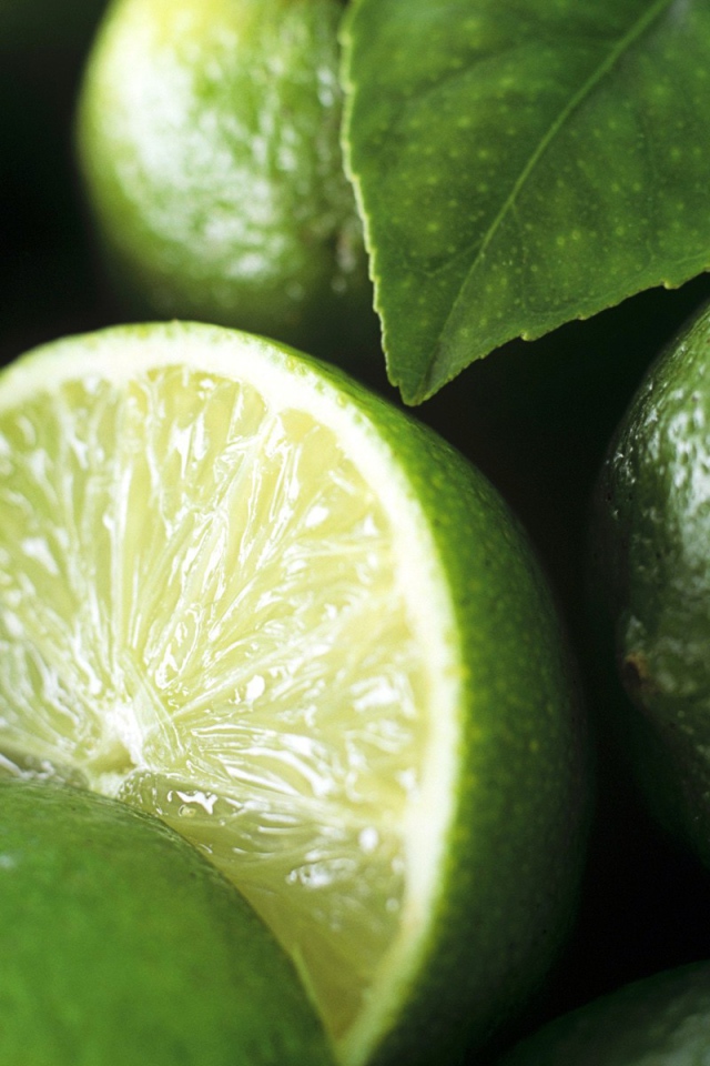 Листик на лаймах