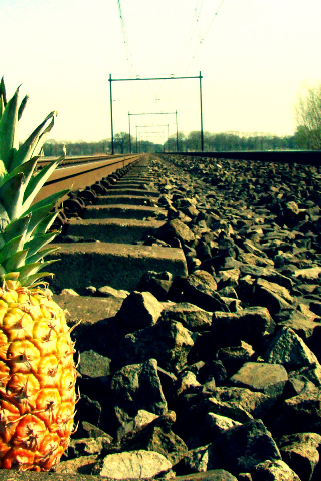 Ананас у рельса