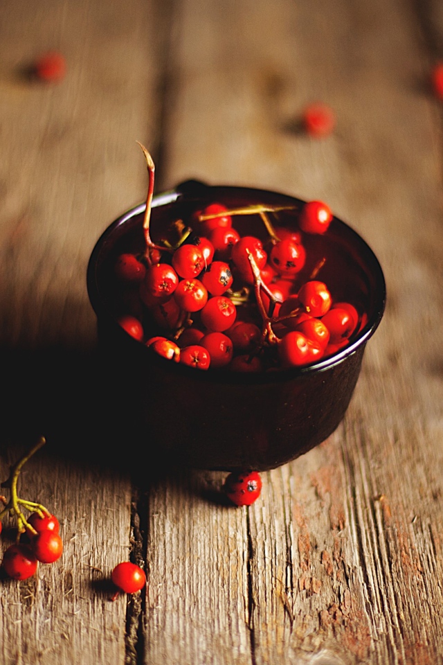 Ягоды рябины в черной пиале