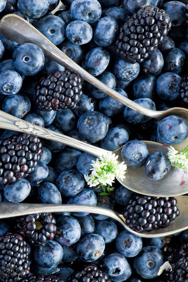 Ложки среди ягод черники и ежевики