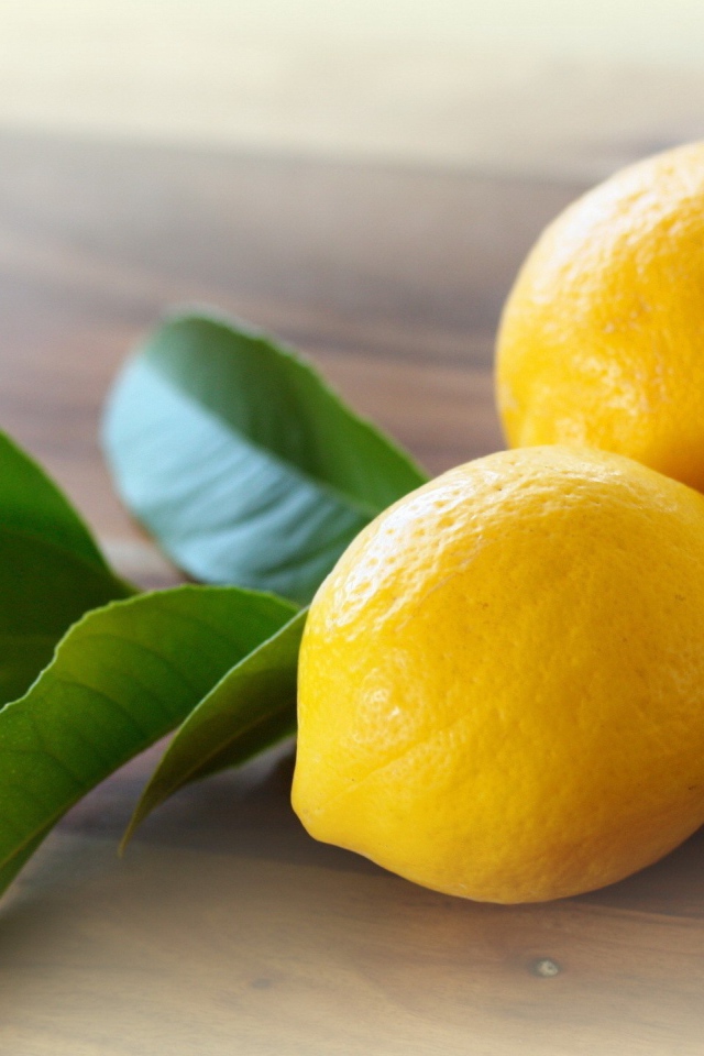 Три лимона с веточкой дерева