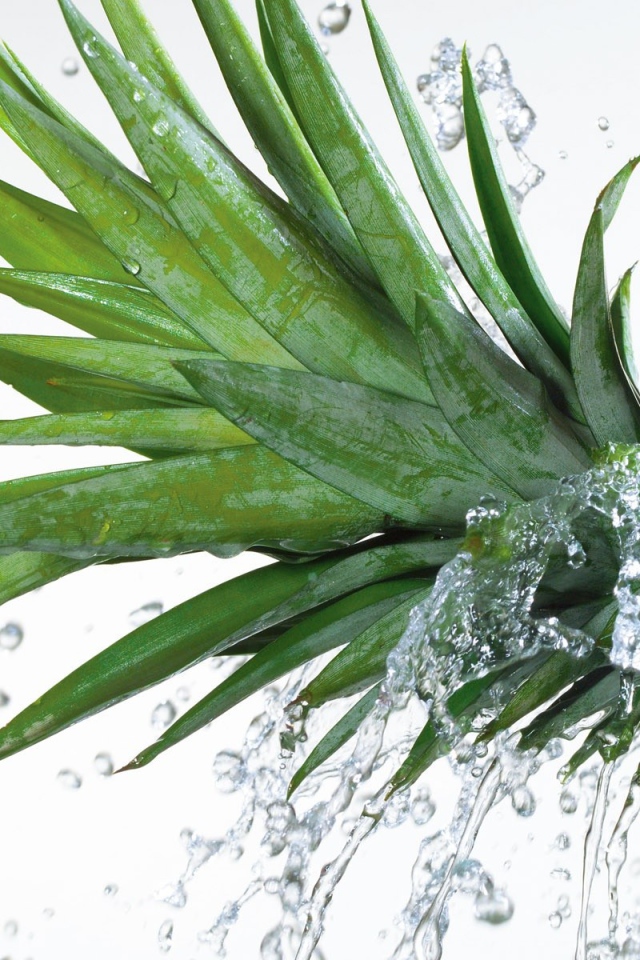 Вода льется на ананас