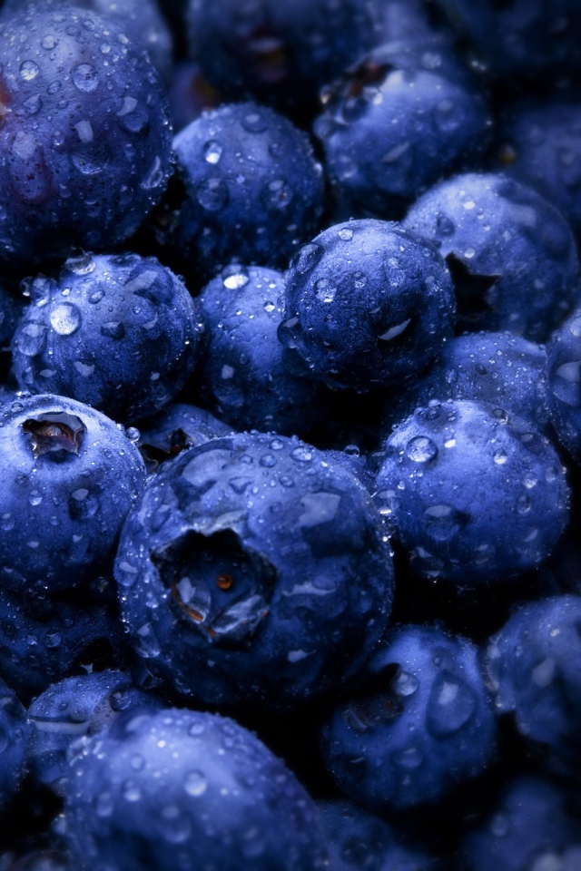 Влажные ягоды черники