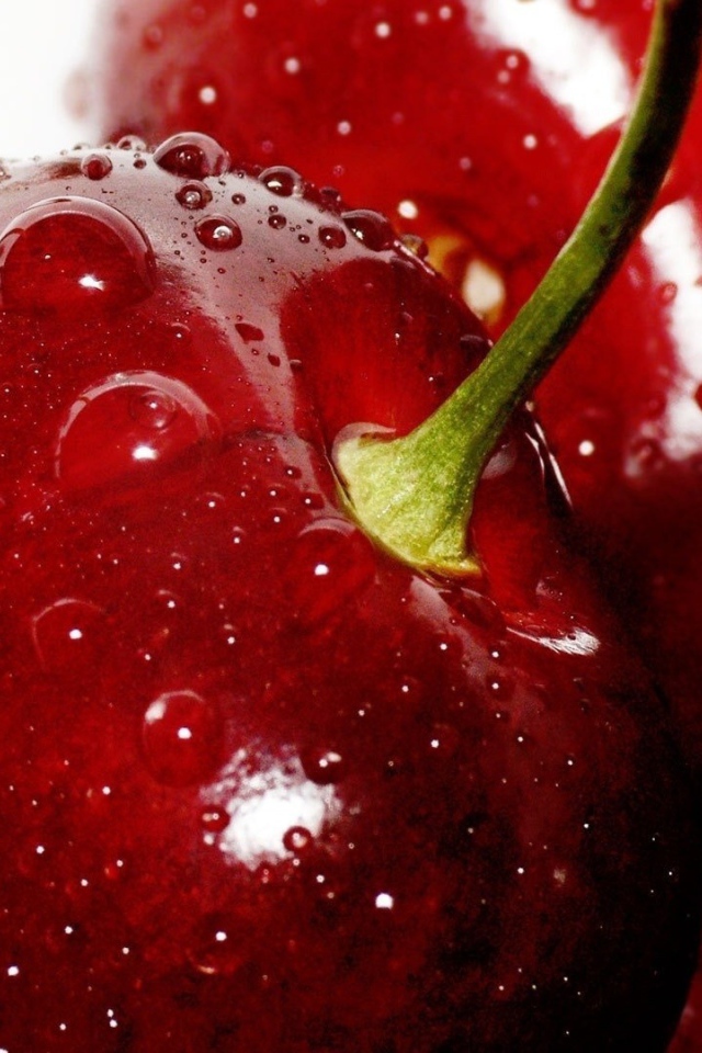 Мокрые спелые вишни