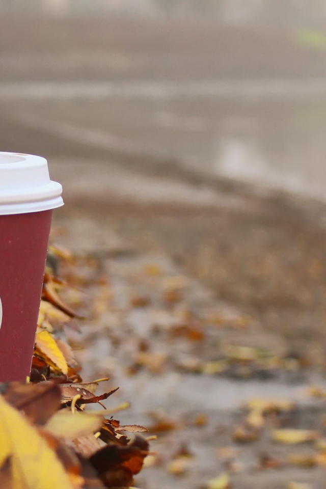 Стакан кофе из Старбакс среди листьев