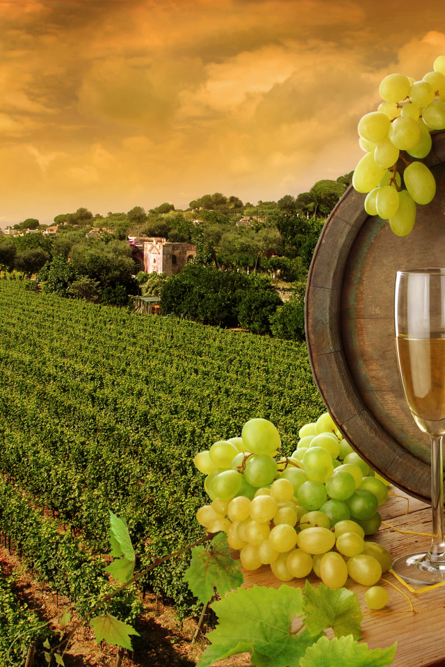 Виноградник и бочка с вином