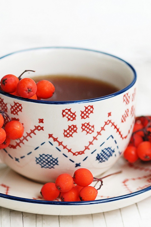 Согревающий отвар рябины