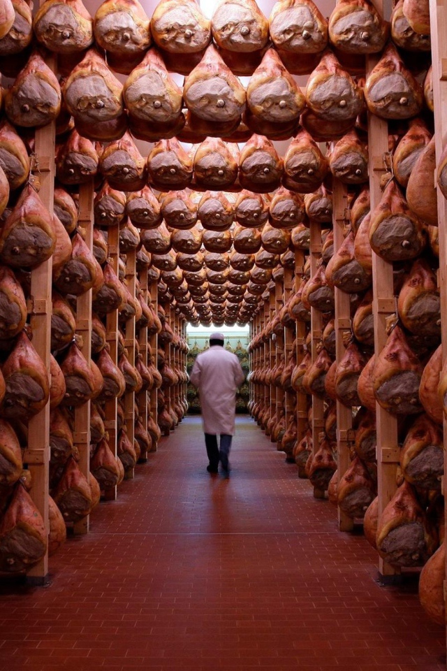 Холодильник с окороками