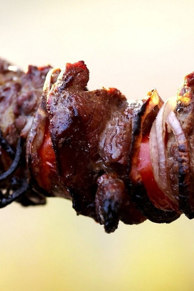 Шашлык на светлом фоне