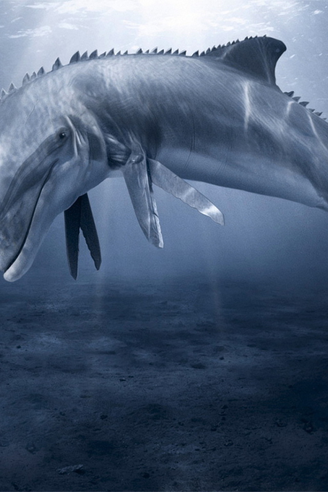 Дельфин с ножницами