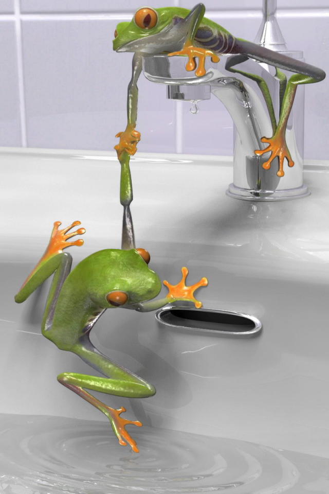 Зеленые лягушки в раковине