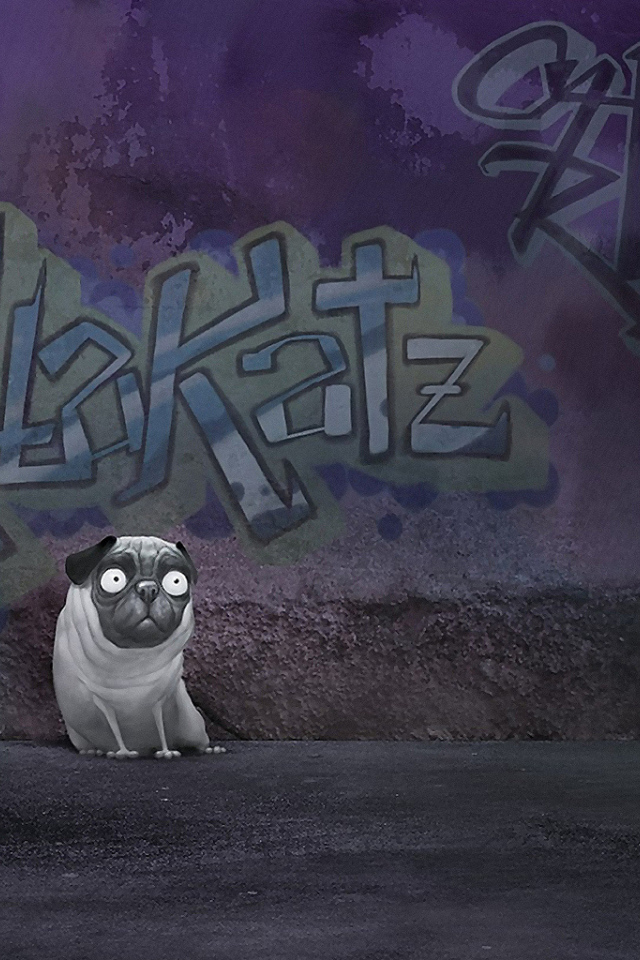 Собака около стены с надписью