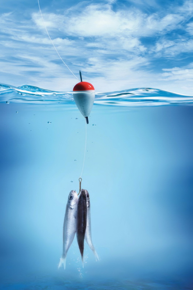 Три рыбы на крючке