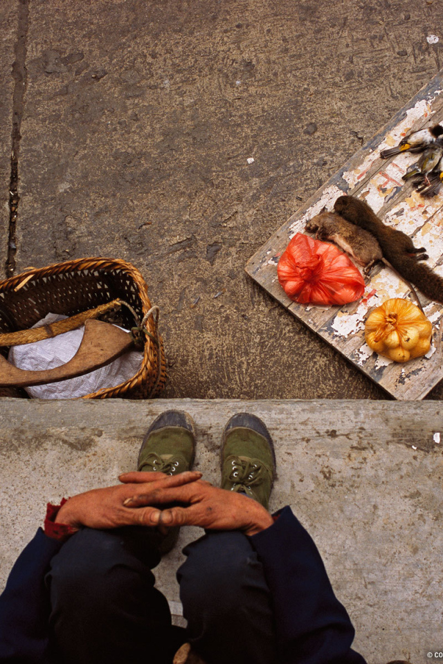 Торговля деликатесами