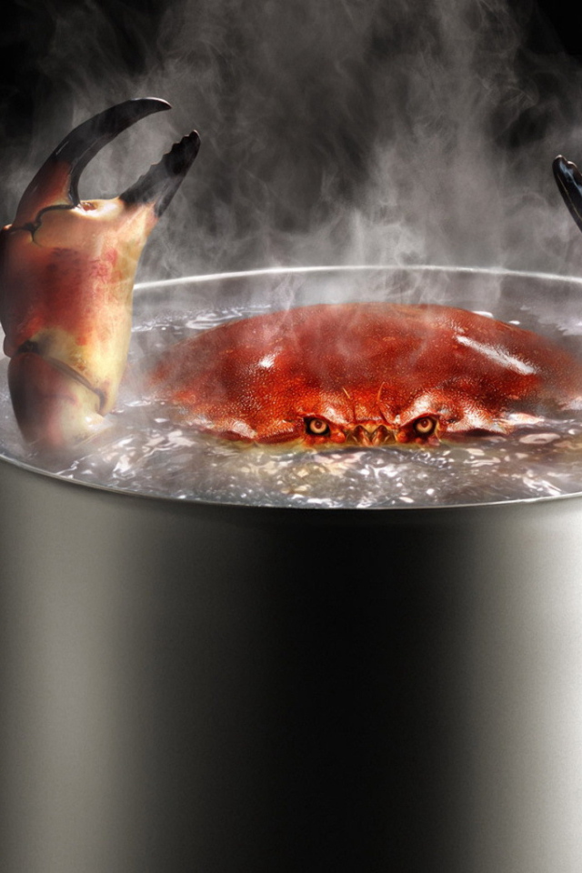 Краб в кипятке