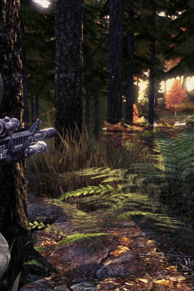 Солдат в лесу, игра DayZ