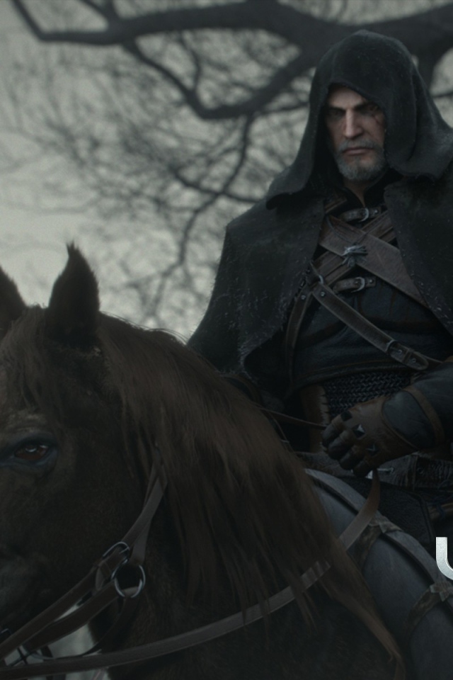 Черный всадник в игре The Witcher 3 Wild Hunt