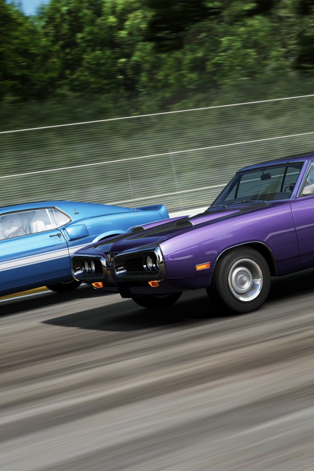 Автомобили на старте в игре Forza Motorsport