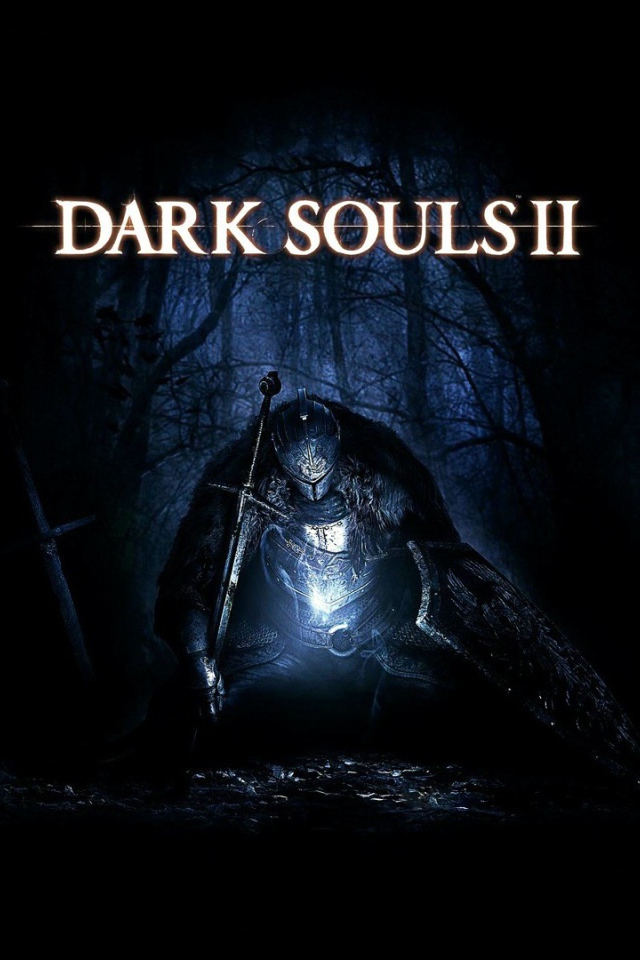 Компьютерная игра Dark Souls 2