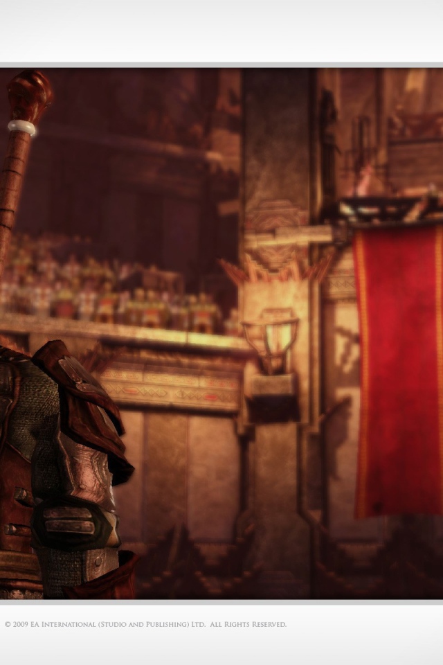 Компьютерная игра Dragon Age Origins