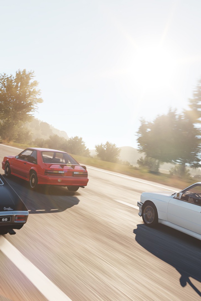 Компьютерная игра Forza Horizon 2