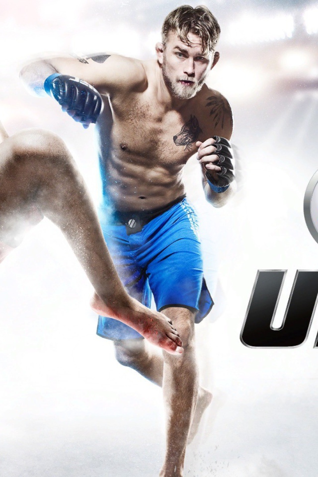 Игра Sports UFC