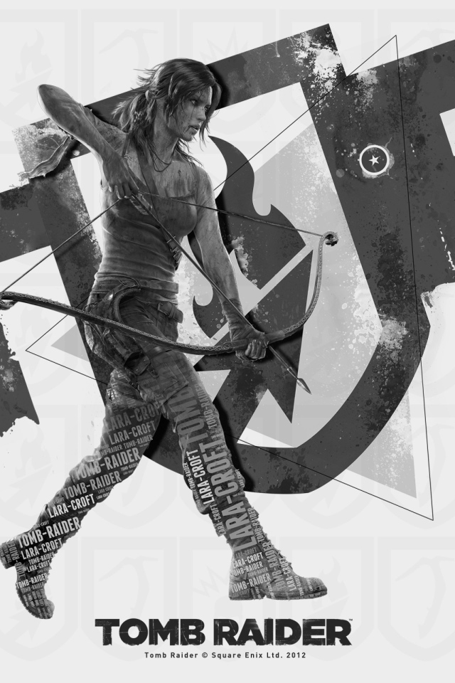 Постер игры Tomb Raider