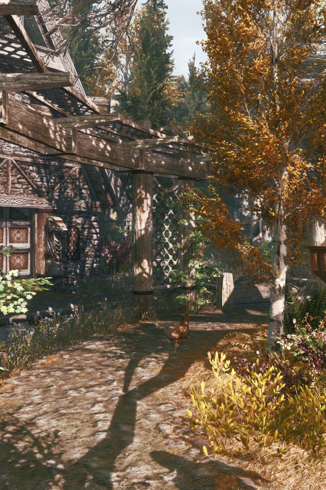 Деревня в игре The Elder Scrolls V Skyrim