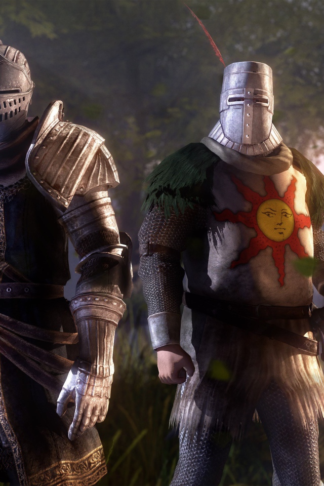 Два рыцаря, игра Dark Souls