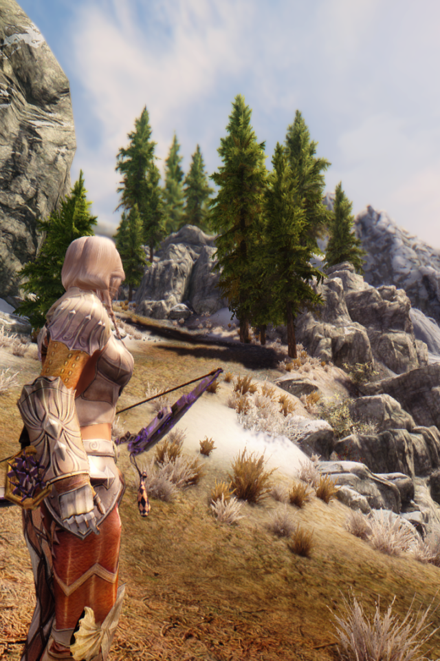 Девушка воин в игре The Elder Scrolls V Skyrim