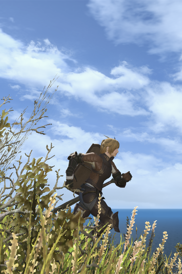 Мир игры Final Fantasy XIV