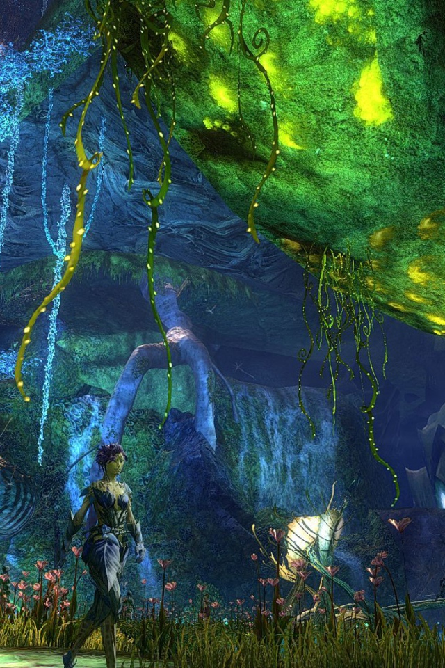 Мир игры Guild Wars